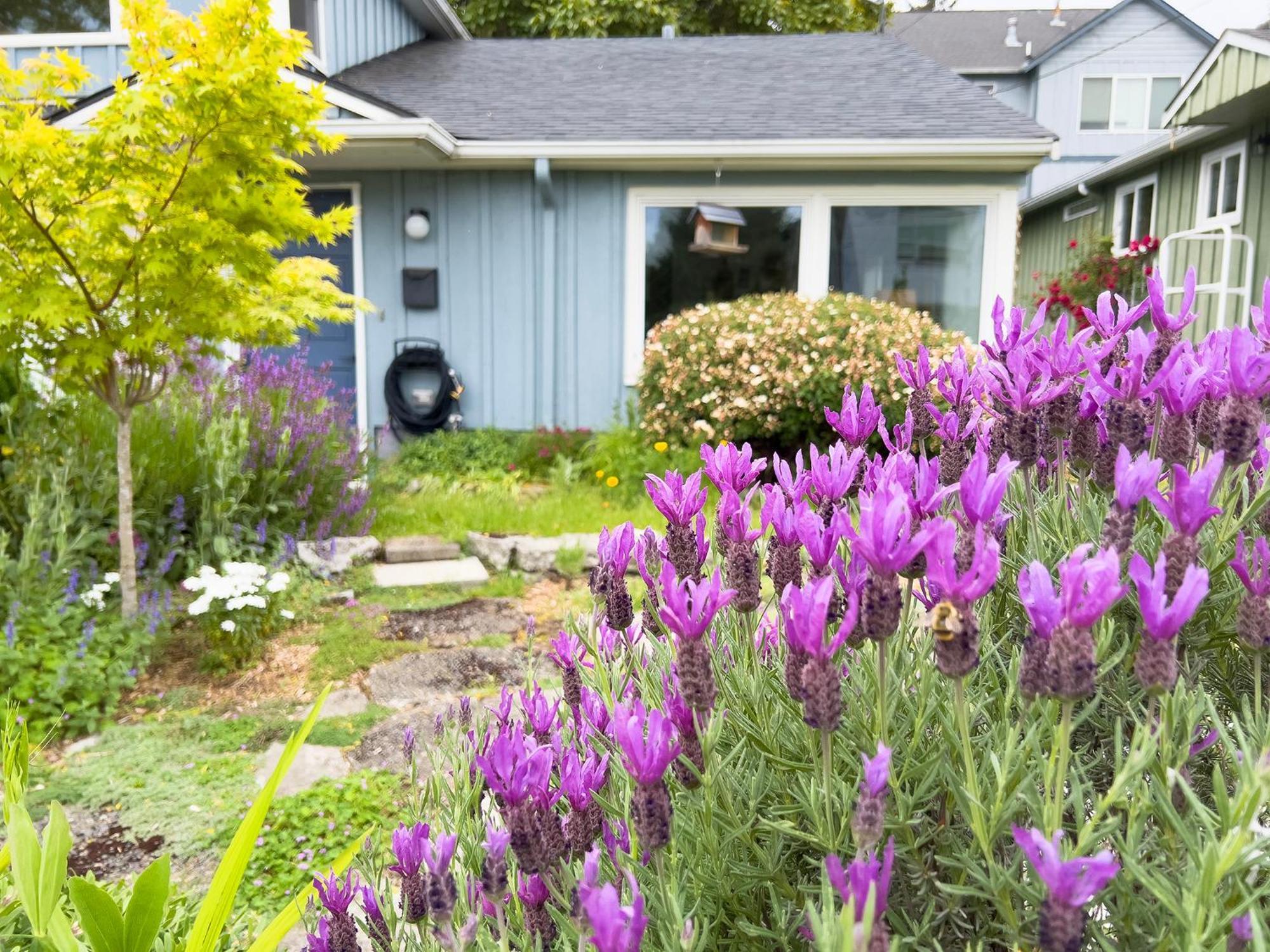 Magnolia Garden Cottage Сиэтл Экстерьер фото