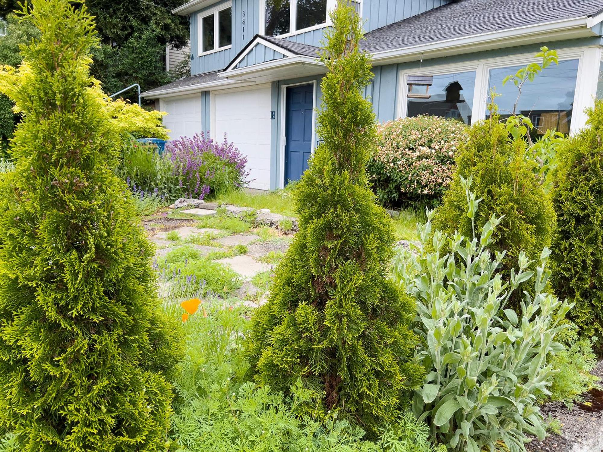Magnolia Garden Cottage Сиэтл Экстерьер фото